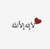 aminaahmed680